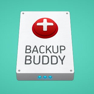 best WordPress backup plugin : BackupBuddy
